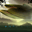 f6.gif