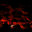 f7.gif