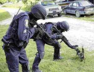 swat-cat